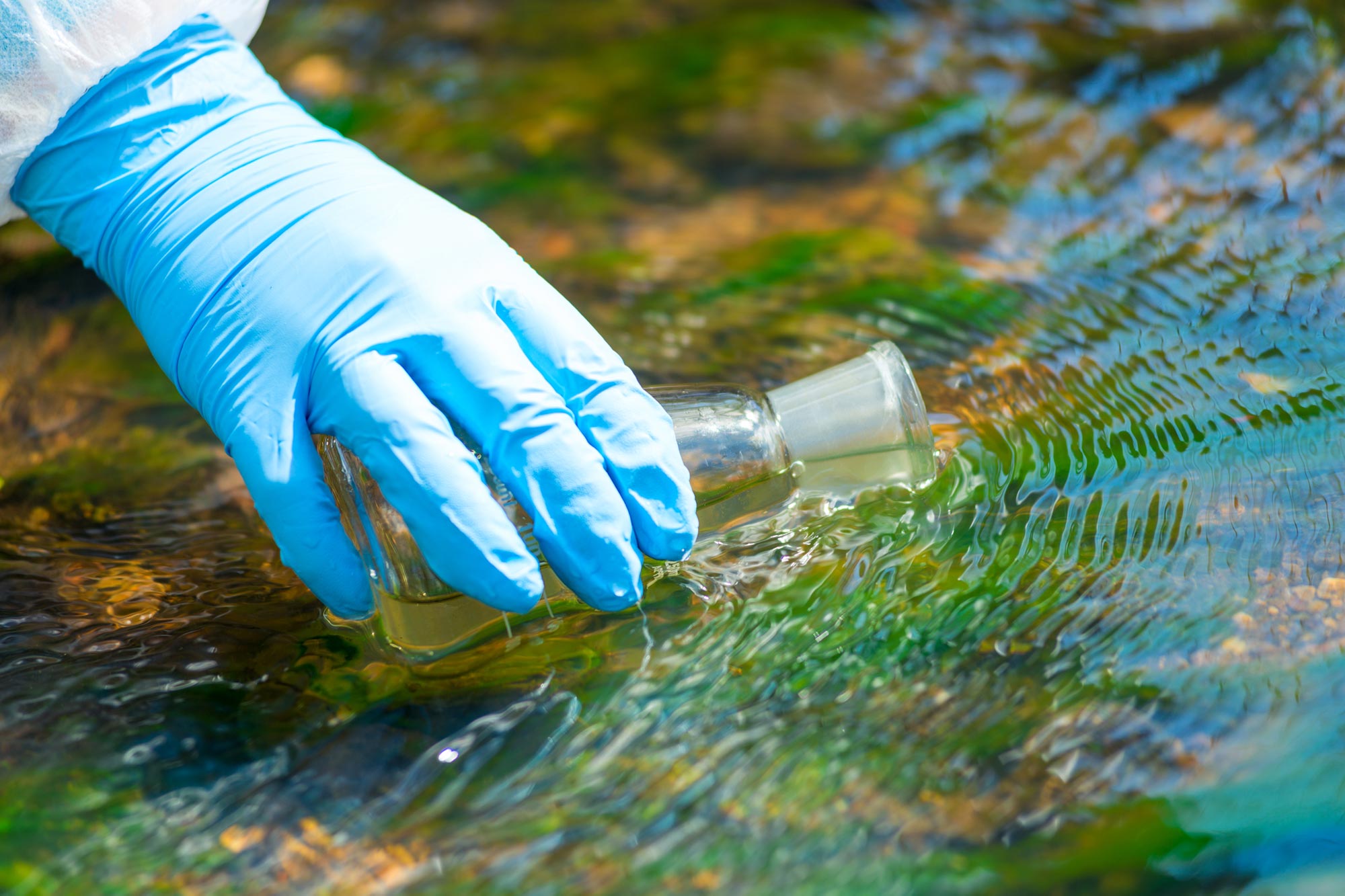 Un parasite caché découvert dans un lac portugais populaire soulève des inquiétudes en matière de santé