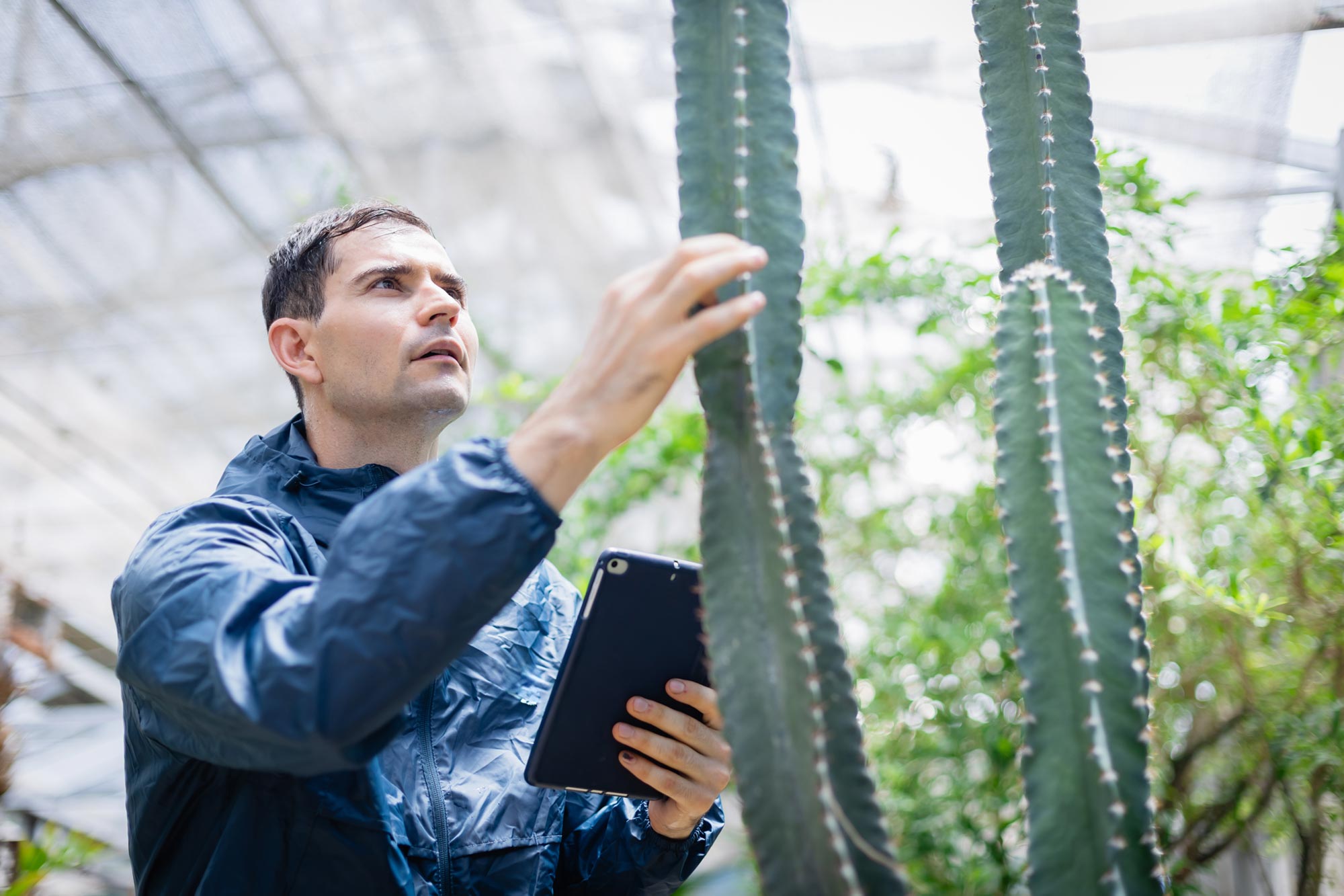 Cette plante familière remet en question une idée de longue date de Charles Darwin sur l'évolution