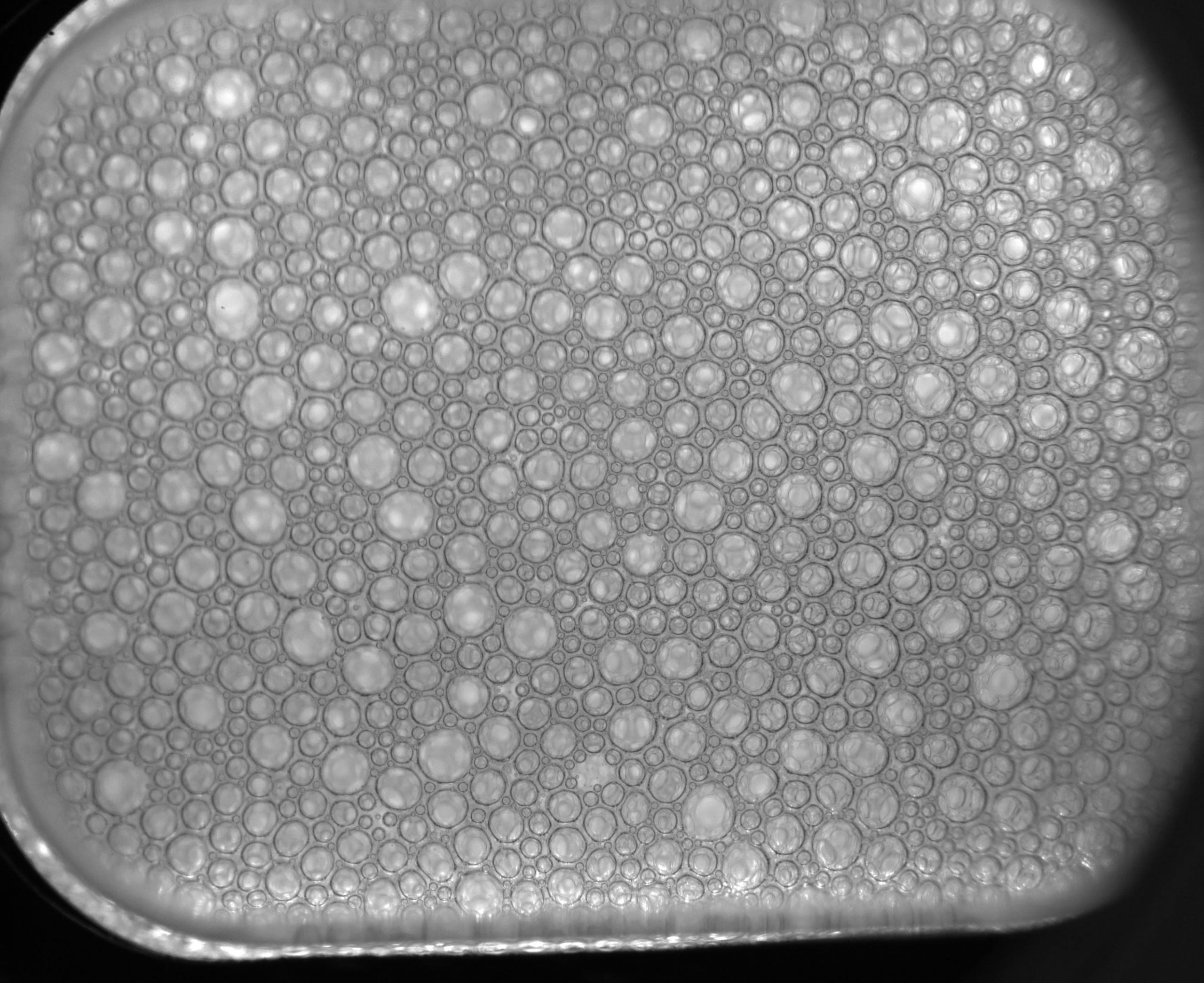 Mousse spatiale formée à l'intérieur du laboratoire de sciences fluides sur la Station spatiale internationale