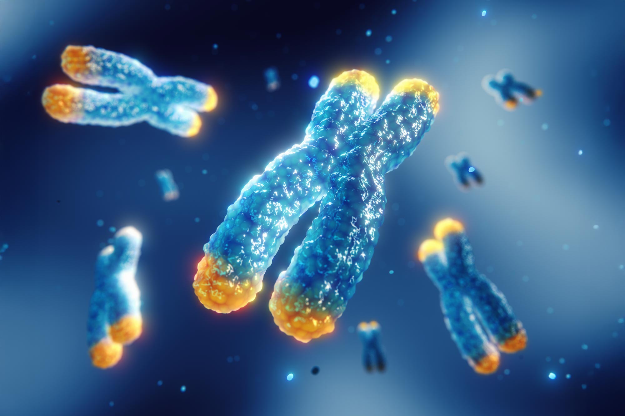 Des scientifiques résolvent le mystère des chromosomes de la luzerne après des décennies de débat