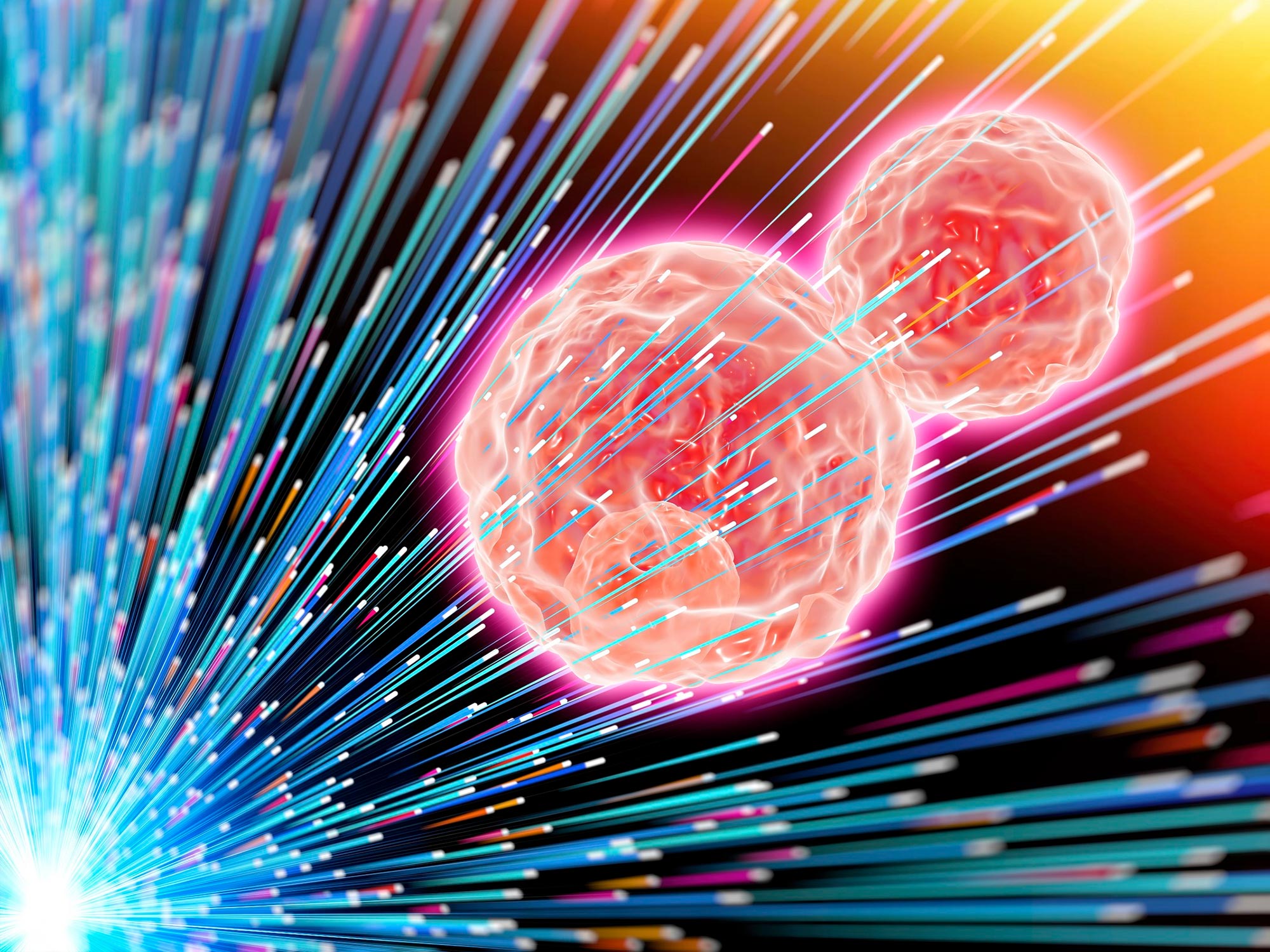 Le rayonnement de térahertz peut perturber les protéines dans les cellules vivantes 