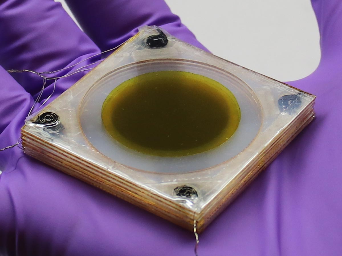 Battre la chaleur: le nouveau dispositif de refroidissement de l'UCLA baisse les températures de 16 degrés en continu