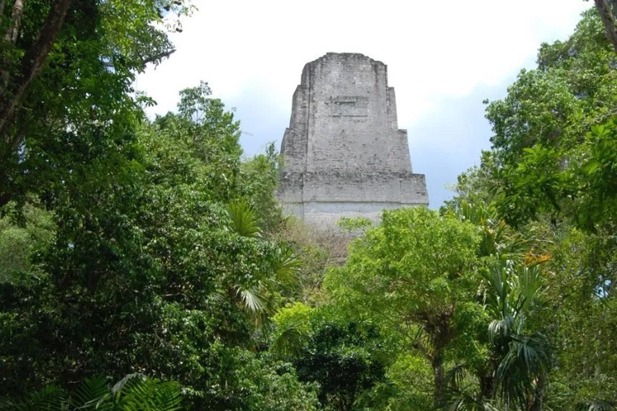 Les anciens Maya ont construit des filtres à eau sophistiqués en utilisant des matériaux naturels