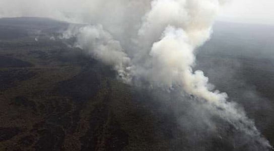 L'analyse des incendies d'Amazon pourrait combler les lacunes dans les modèles climatiques