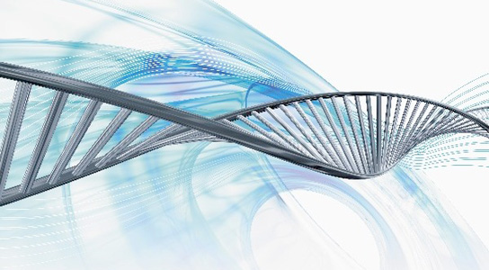 Les études du génome indiquent que l'ADN «indésirable» contient des indices sur les maladies communes